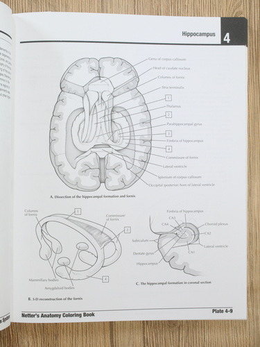 John T. Hansen - Netter's anatomy coloring book (editia a II-a)