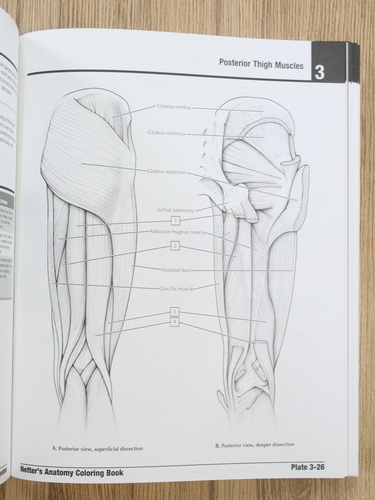 John T. Hansen - Netter's anatomy coloring book (editia a II-a)