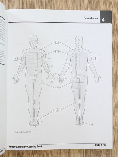 John T. Hansen - Netter's anatomy coloring book (editia a II-a)