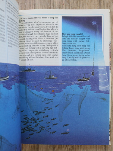 1000 questions and 1000 answers. With hundreds of illustrations all in full color