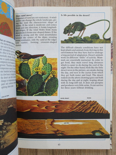 1000 questions and 1000 answers. With hundreds of illustrations all in full color