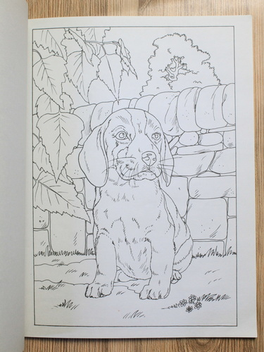 Colour and art. Dogs and puppies (carte de colorat)