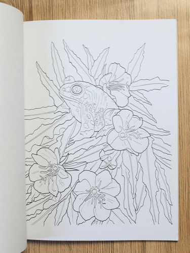 Ruth Soffer - Desert blooms. Coloring book