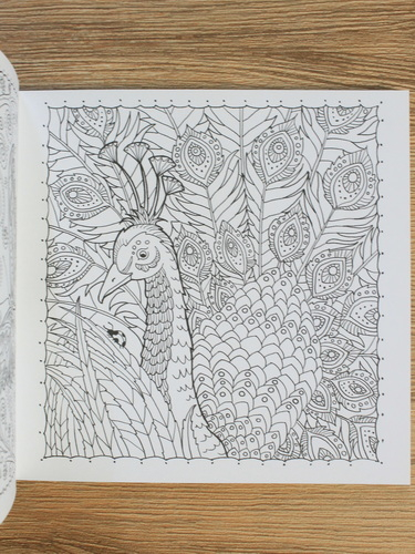 Ursula Schwab - Relaxacni omalovanky. Ptaci, motyli a priroda (carte de colorat)