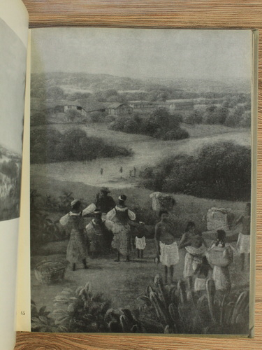 H. Fekhner - Le paysage Hollandais du XVII siecle a l'Ermitage