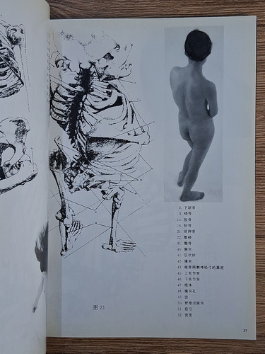 Li Jiaxu - Modelarea corpului uman si imaginea corpului uman