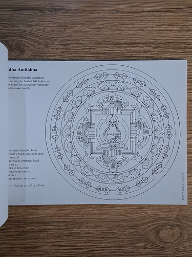 Tatjana Blau - Tibetske mandaly. Malujeme mandaly pro zdravi a pro dusi (carte de colorat)