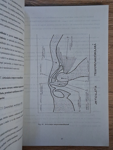 Gheorghe Draghici - Ghid de practica stomatologica. Leziuni coronare