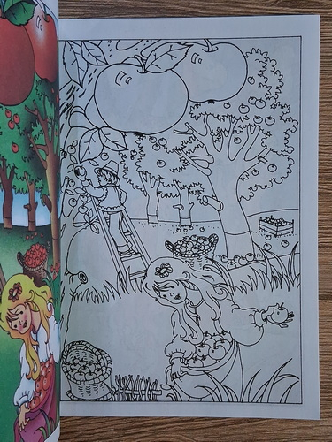 Dumitru Ristea - Fructe si legume din gradina mea (carte de colorat)