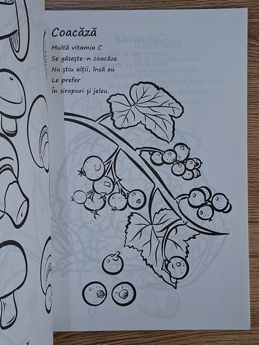 Nicoleta Ionescu - Haideti sa coloram fructe si legume! 
