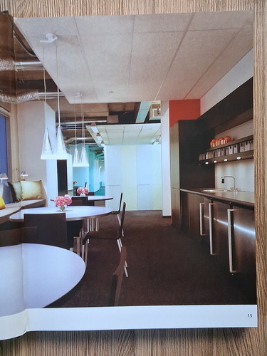 Roger Yee - Corporate interiors no.7