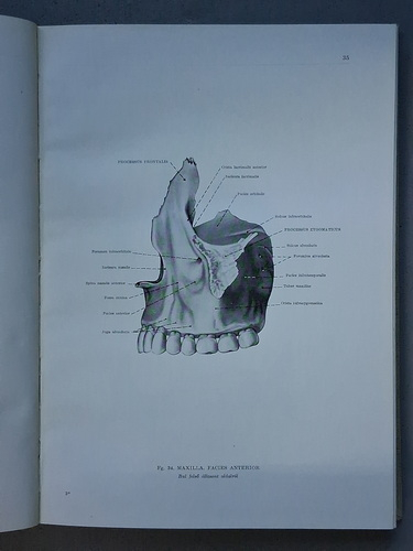 Francisus Kiss - Atlas anatomiae corporis humani (3 volume)