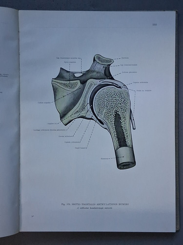 Francisus Kiss - Atlas anatomiae corporis humani (3 volume)