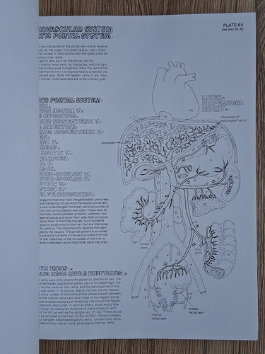Wynn Kapit - The anatomy coloring book