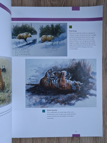 Painting the elements. Weather effects in oil, acrylic and watercolor