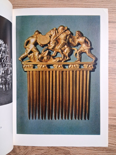 Musee de l'Ermitage (guide)