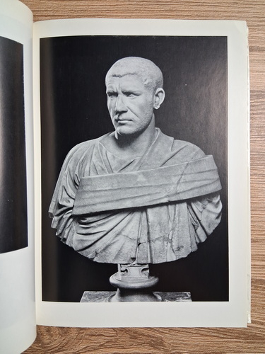 Musee de l'Ermitage (guide)