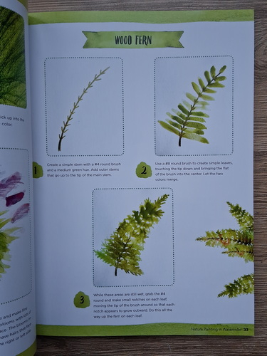 Kristine A. Lombardi - Naturre painting in watercolor