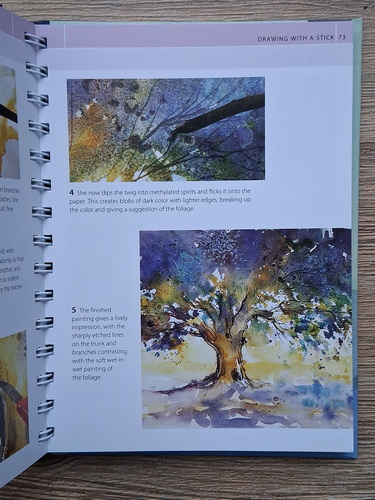 Marylin Scott - The water color artist's bible. An essential reference for the practicing artist