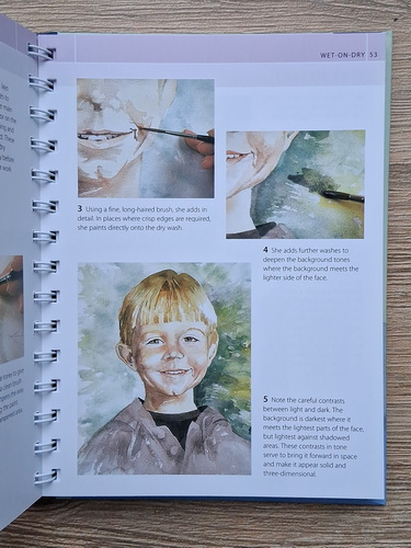 Marylin Scott - The water color artist's bible. An essential reference for the practicing artist