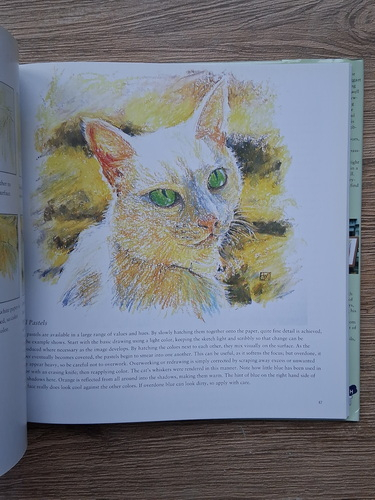 Paul Taggart - Art techniques from pencil to paint. Line and shade