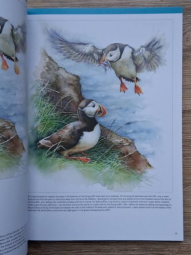 Walter Foster - The art of painting sea life in watercolor