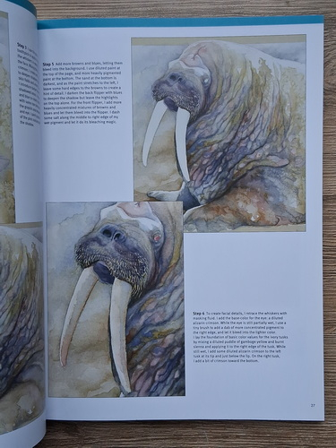 Walter Foster - The art of painting sea life in watercolor