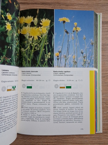 AicheleSchwegler - Che fiore e'? Guida a colori per il riconoscimento di oltre 750 specie 