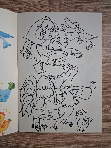 Doina Micu - Mica gospodina (carte de colorat)