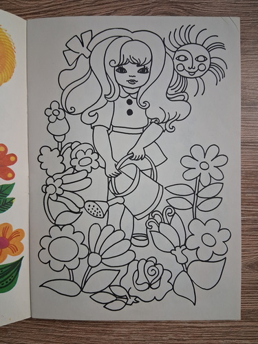 Doina Micu - Mica gospodina (carte de colorat)