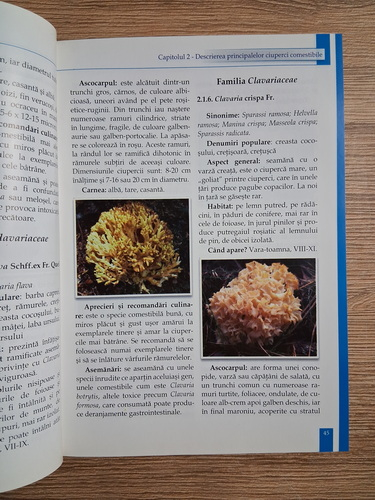 Ioana Tudor - Ciupercile din flora spontana a Romaniei. Manualul culegatorului si consumatorului autohton. Ghid de identificare a peste 300 de specii de ciuperci comestibile si otravitoare de pe teritoriul Romaniei