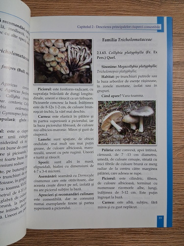 Ioana Tudor - Ciupercile din flora spontana a Romaniei. Manualul culegatorului si consumatorului autohton. Ghid de identificare a peste 300 de specii de ciuperci comestibile si otravitoare de pe teritoriul Romaniei
