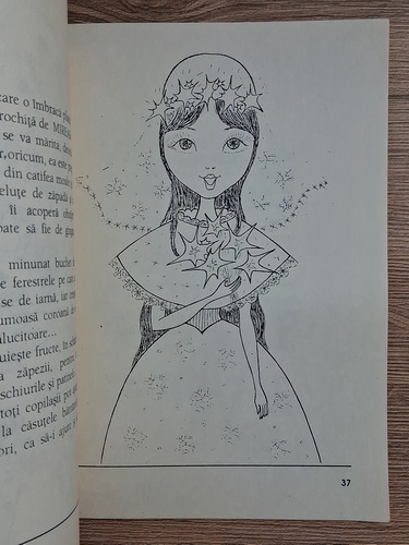 Maria Cristina Neagu - Ghicitoare (carte de colorat)