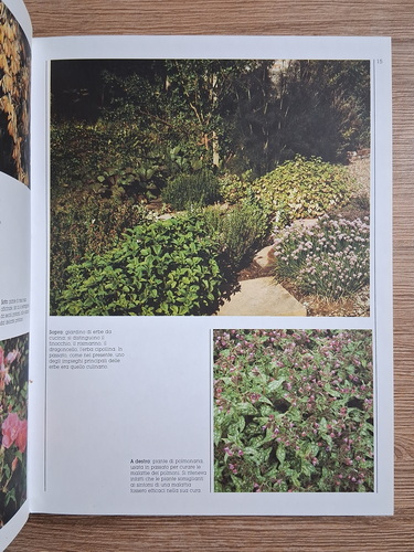 Ann Bonar - Le erbe gli ortaggi