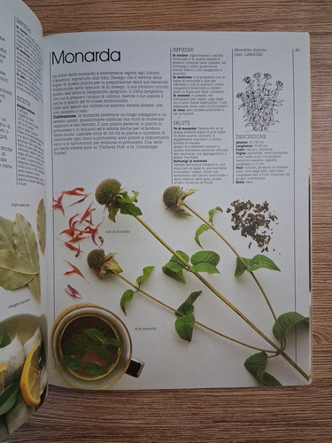 Ann Bonar - Le erbe gli ortaggi