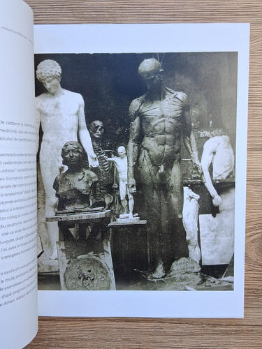 Elena Dumitrescu - Ecorseul Brancusi-Gerota. Istoria unei lucrari realizate la Scoala de Belle Arte din Bucuresti