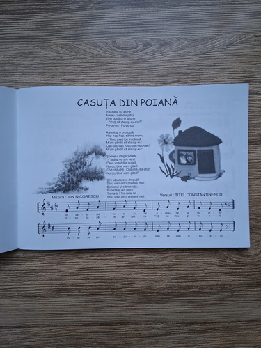 Rodica Nicorescu - Zambet si soare. Cantece pentru copii de Ion Nicorescu