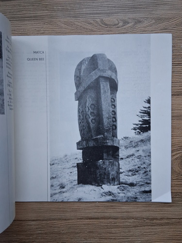 Tabara Nationala de sculptura in lemn Saliste