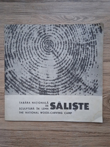 Anticariat: Tabara Nationala de sculptura in lemn Saliste