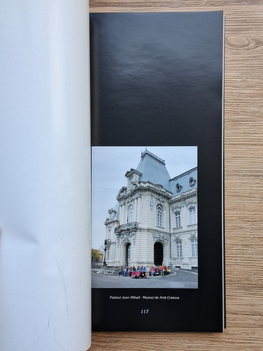 Cornelia Petrescu - Theodor Aman. Semnificatia unui destin