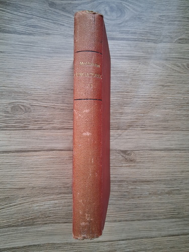 Anticariat: Corneliu Moldovanu - Purgatoriul (volumul 2, 1922)