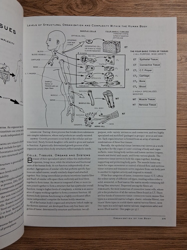 Hogin McMurtrie - McMurtrie's human anatomy coloring book
