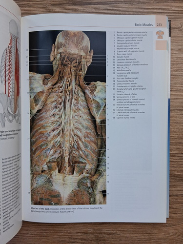 Johannes W. Rohen - Color atlas of anatomy. A photopraphic study of the human body (editia a 7-a)
