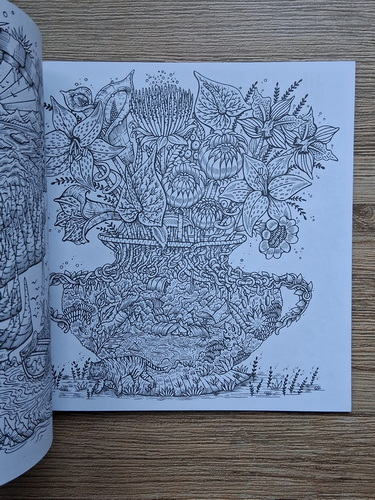 Melpomeni Chatzipanagiotou - Minunata planeta pamant. Calatorie in culori prin peisaje fascinante (carte de colorat)