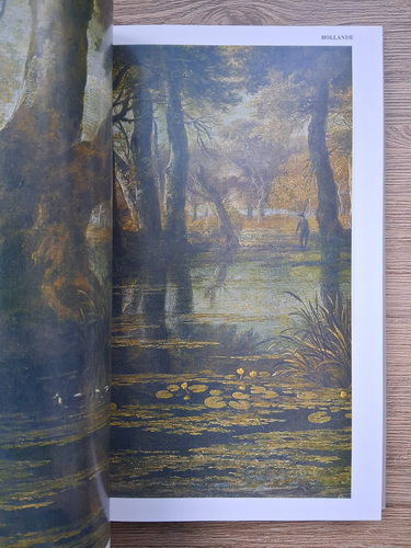 Musee de l'Ermitage. Peinture d'Europe Occidentale des XIIIe-XVIIIe siecles (album)