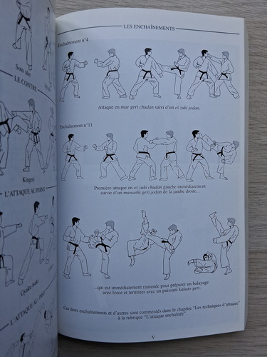 Frank Morvan-Denegre - Karate. Art corporel traditionnel