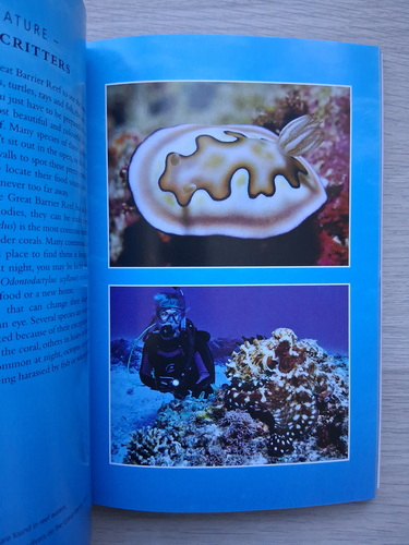 Nigel Marsh - Coral wonderland. The best dive sites of the great barrier reef and coral sea