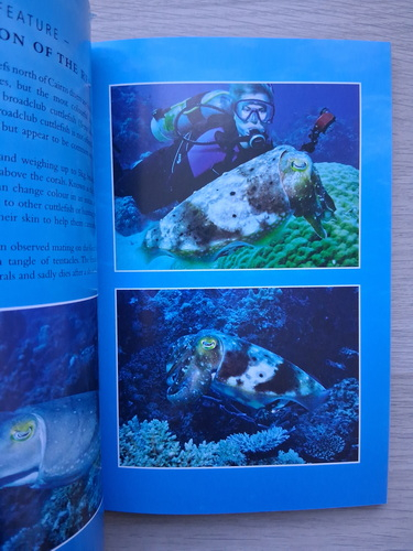 Nigel Marsh - Coral wonderland. The best dive sites of the great barrier reef and coral sea