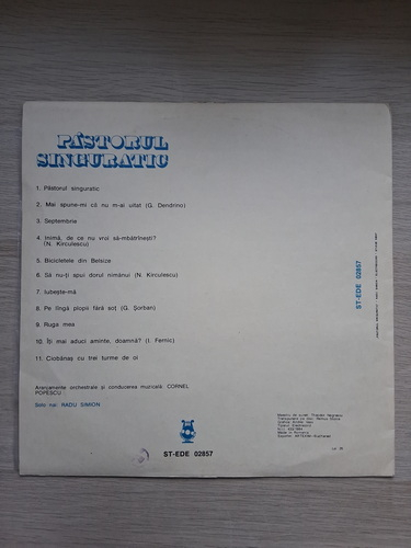 Radu Simion, Cornel Popescu - Pastorul singuratic