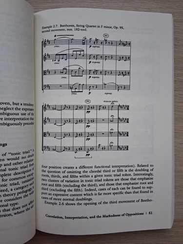 Robert S. Hatten - Musical meaning in Beethoven. Markedness, correlation, and interpretation